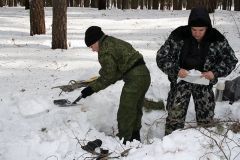 Изображение галереи 
